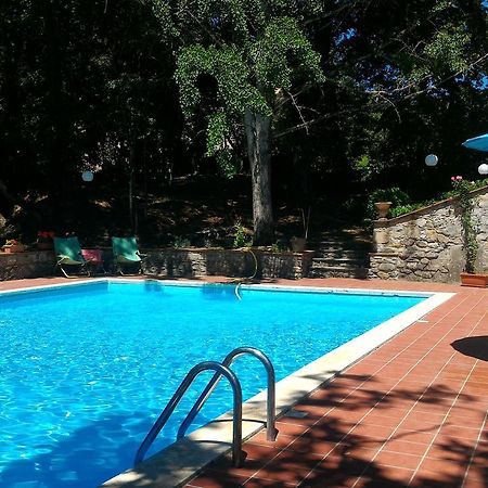 Capolona Villa La Nussa المظهر الخارجي الصورة